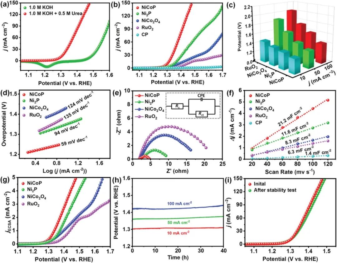 催化頂刊集錦：AFM、Angew、Nature子刊、JMCA、ACS Nano等成果