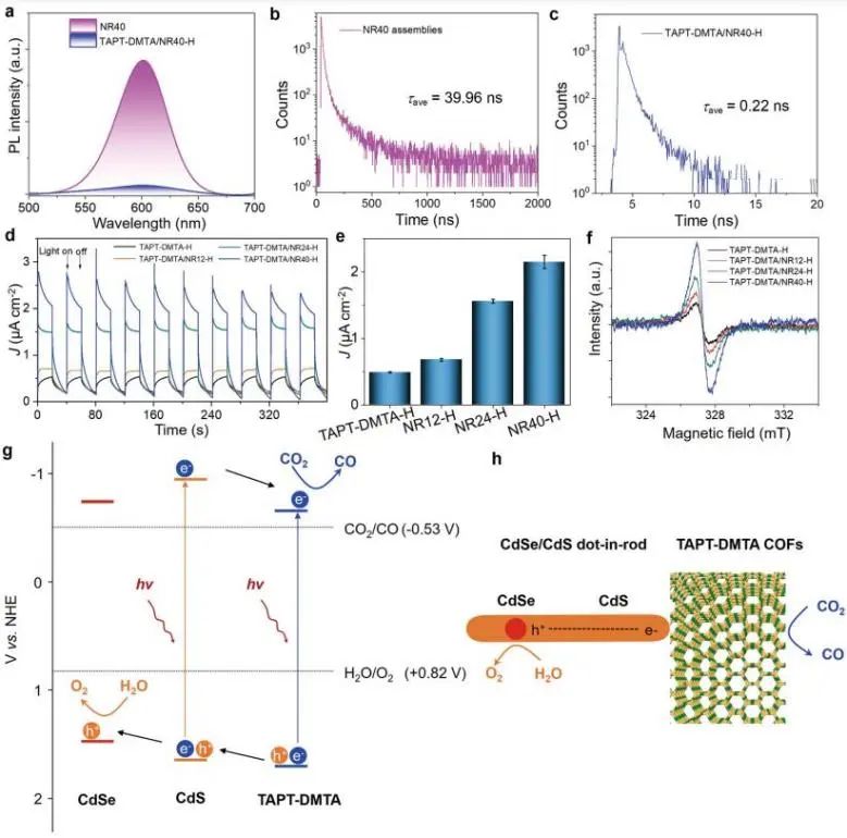 催化頂刊集錦：Nat. Commun.、JACS、AFM、ACS Catal.、ACS Nano、Small等