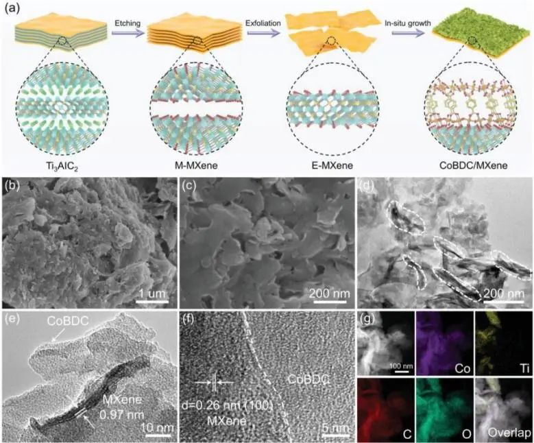 催化頂刊集錦：JACS、Nature子刊、AFM、ACS Catalysis、Adv. Sci.、Small等