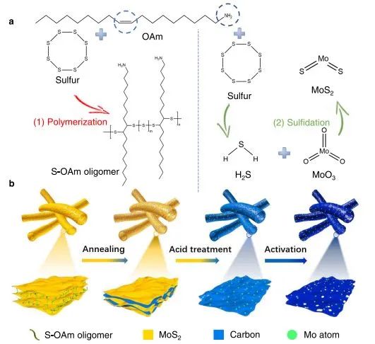 催化頂刊集錦：Nat. Commun.、JACS、AFM、ACS Catal.、ACS Nano、Small等
