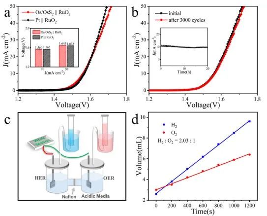 催化頂刊集錦：Nature子刊.、Angew.、AFM、ACS Catalysis、ACS Nano、Small等