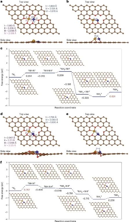 趙惠軍&張海民，最新Nature子刊！