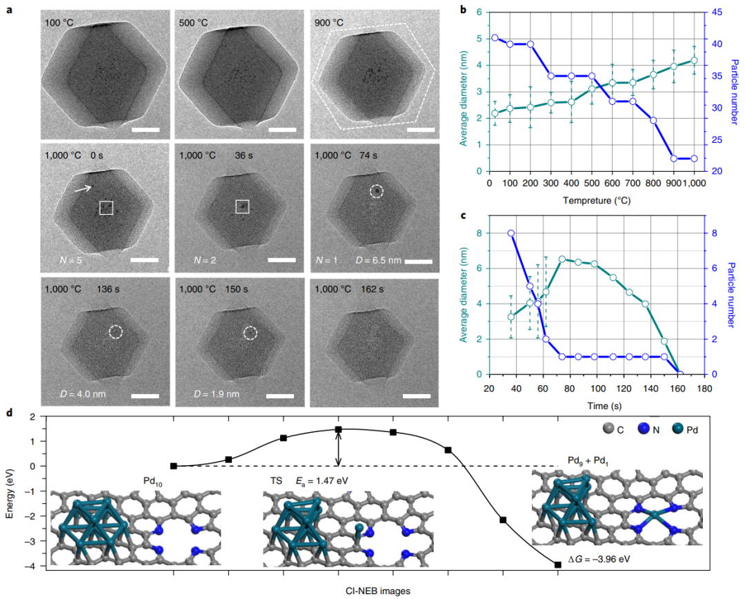 繼Nature Nanotechnology后再發(fā)JACS！李亞棟院士等人創(chuàng)制新型單原子催化劑！