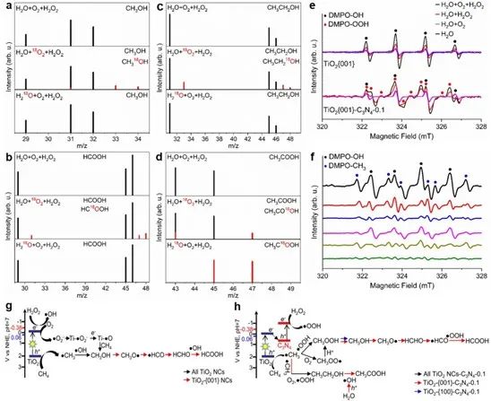催化頂刊集錦：AFM、Angew、Nature子刊、JMCA、ACS Nano等成果