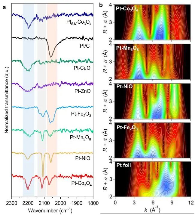 喬世璋/鄭堯/朱藝涵，最新JACS！