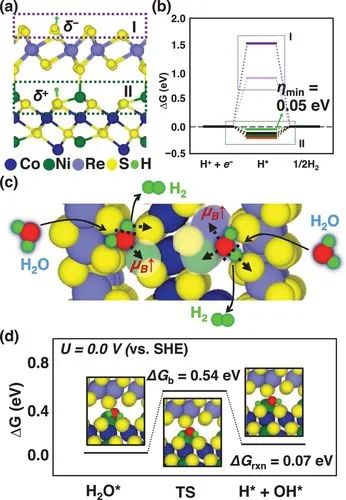 催化頂刊集錦：AFM、Angew、Nature子刊、JMCA、ACS Nano等成果