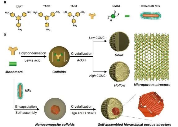 催化頂刊集錦：Nat. Commun.、JACS、AFM、ACS Catal.、ACS Nano、Small等