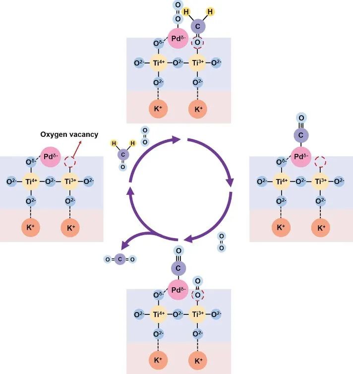 催化頂刊集錦：JACS、Nature子刊、AFM、ACS Catalysis、Adv. Sci.、Small等