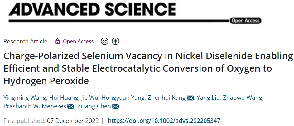 ?蘇大/柏林工大Adv. Sci.：NiSe2-Vse高效的電催化氧氣轉(zhuǎn)化為過(guò)氧化氫