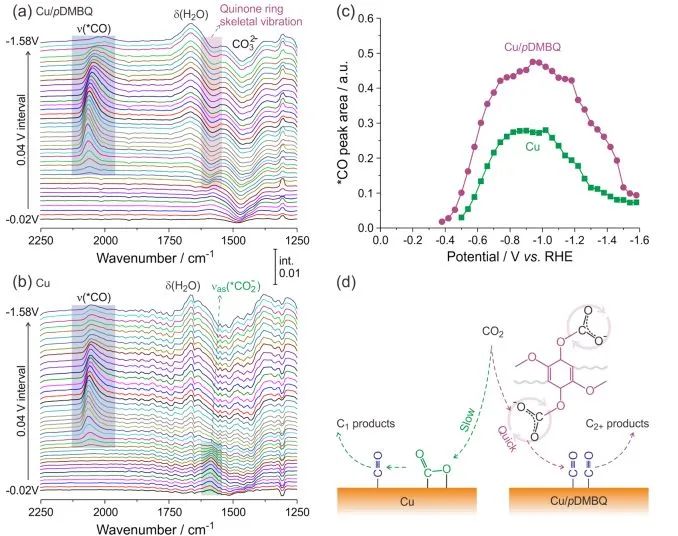 催化頂刊集錦：Angew.、Nat. Commun.、ACS Catalysis、ACS Energy Letters等
