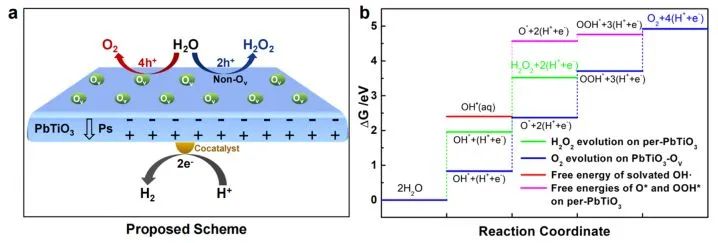 催化頂刊集錦：JACS、Nature子刊、AFM、ACS Catalysis、Adv. Sci.、Small等