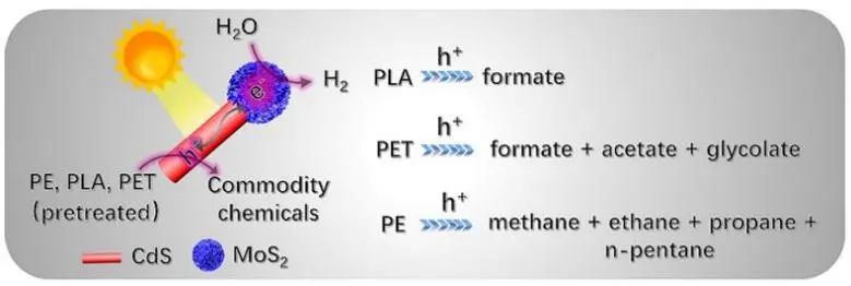 邱博誠ACS Catalysis：變廢為寶：具有MoS2尖端的CdS將塑料光重整為增值化學(xué)品和氫氣