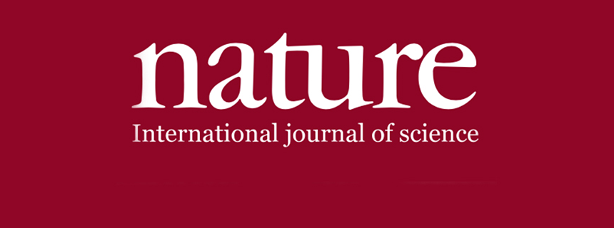 謝和平院士&邵宗平，最新Nature！