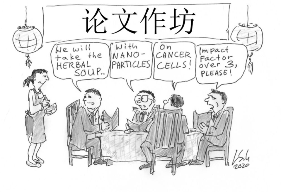 ACS Energy Letters吐槽：你們發(fā)論文，就像快餐店制作三明治一樣！