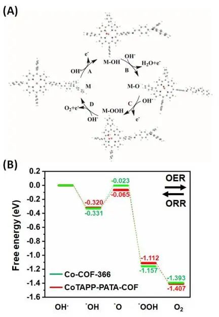 曾高峰&徐慶Angew：構(gòu)建具有高ORR/OER活性的COFs