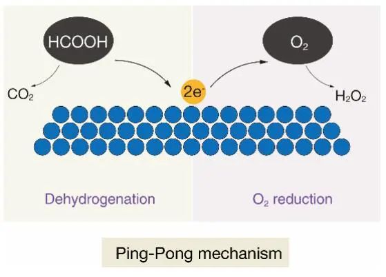?應(yīng)化所Angew：Pt-Au合金催化甲酸氧化制過氧化氫