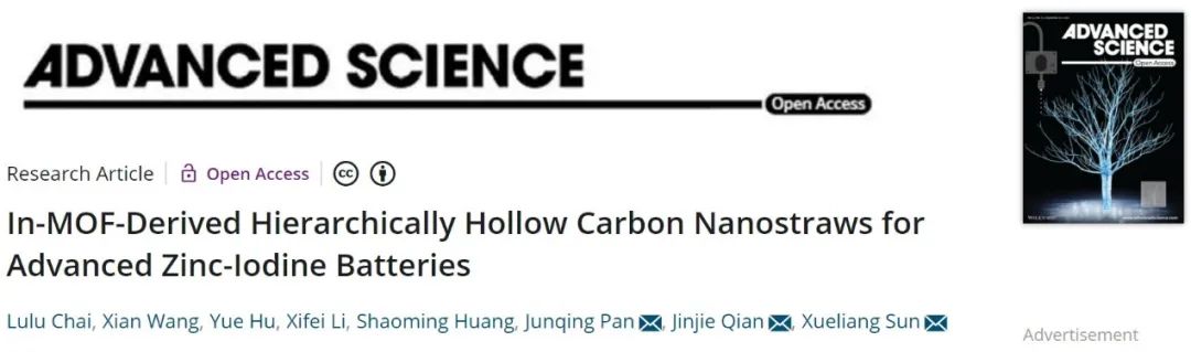 ?孫學(xué)良/錢(qián)金杰/潘軍青Adv. Sci.：基于MOF衍生中空碳納米管的高性能正極