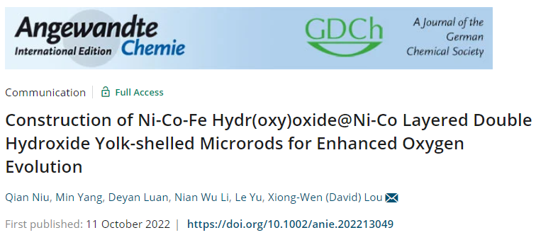 于樂(lè)/樓雄文最新Angew.：玩轉(zhuǎn)MOF，設(shè)計(jì)蛋黃-殼結(jié)構(gòu)OER電催化劑！