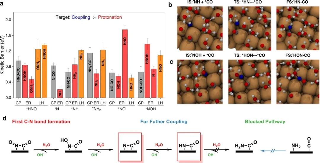 喬世璋/焦研，最新Nature子刊！