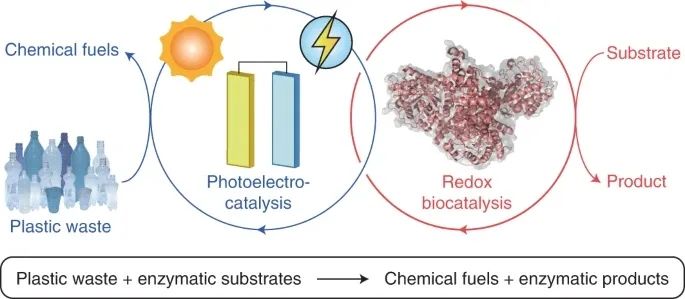 Nature Synthesis：微塑料為燃料的光電催化生物合成