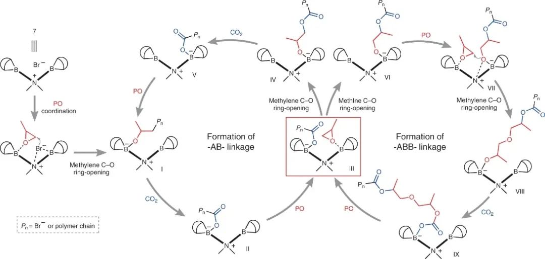 浙大伍廣朋團(tuán)隊Nature Synthesis：CO2和環(huán)氧丙烷精準(zhǔn)共聚！