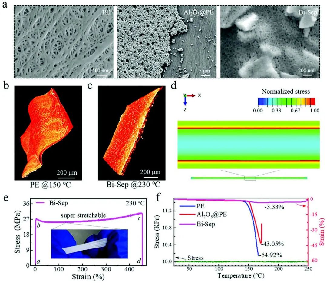 8篇電池頂刊：Nature子刊、AEM、AFM、ACS Energy Lett.、ACS Nano、EEM等成果