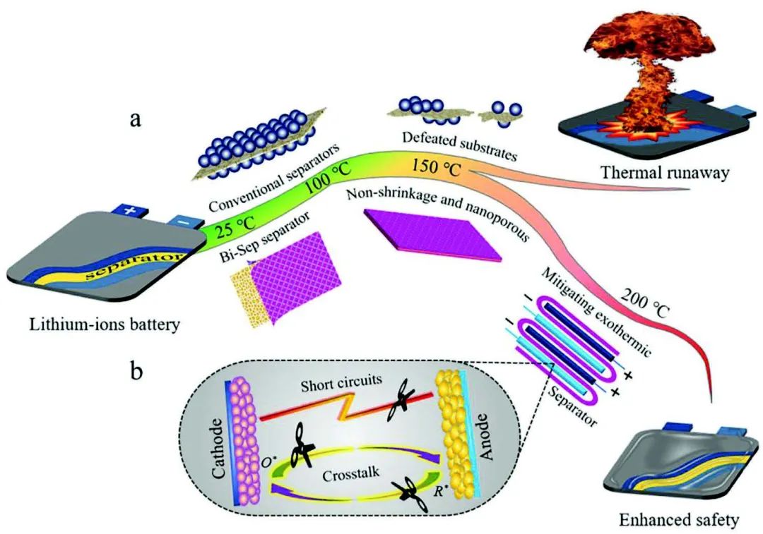 8篇電池頂刊：Nature子刊、AEM、AFM、ACS Energy Lett.、ACS Nano、EEM等成果