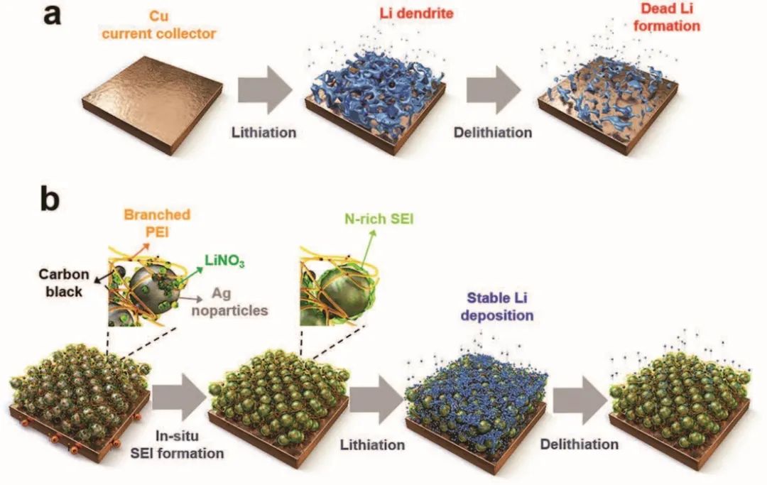 8篇電池頂刊：Nature子刊、AEM、AFM、ACS Energy Lett.、ACS Nano、EEM等成果