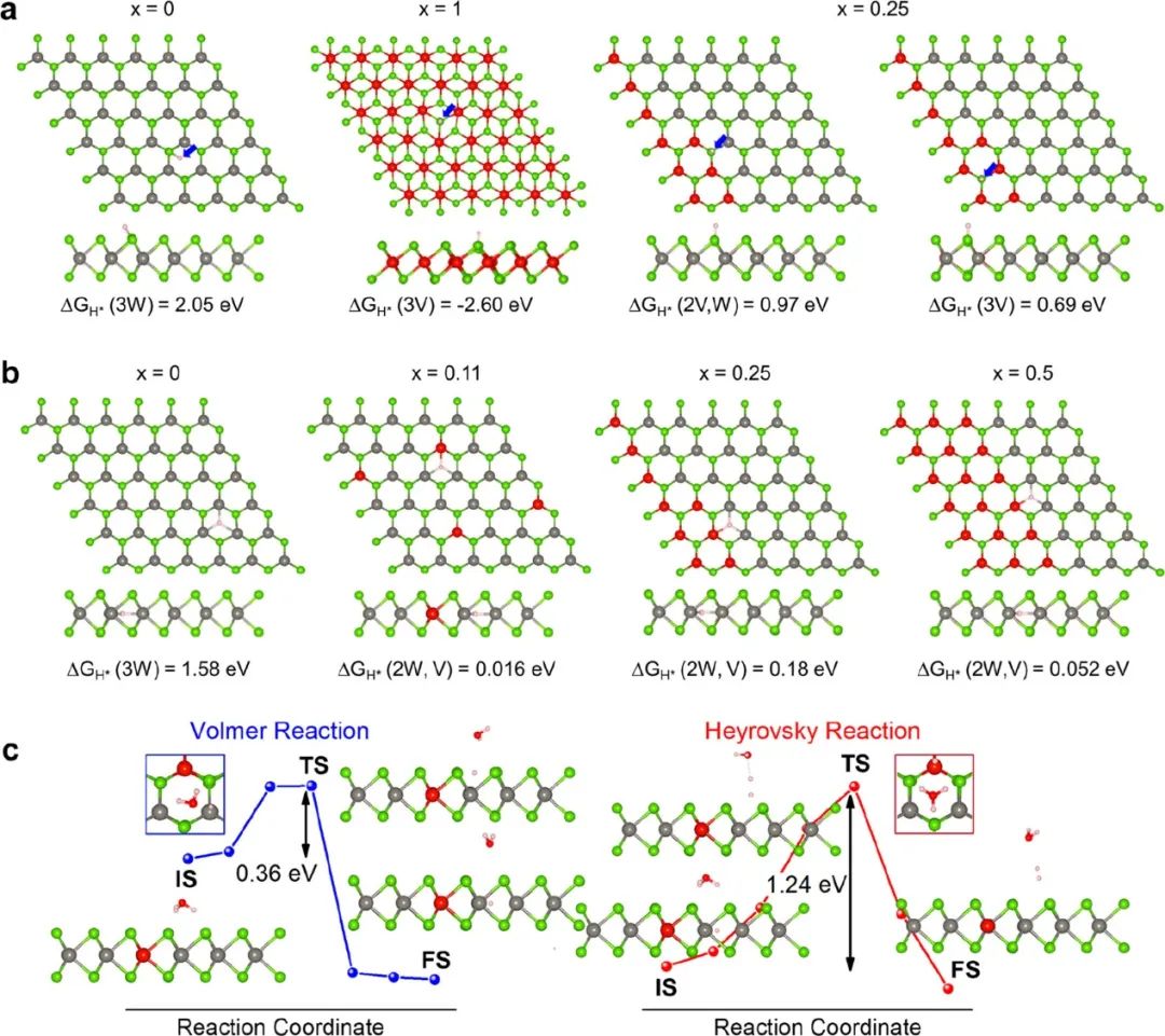 【催化+計(jì)算】最新頂刊：JACS、EES、Angew、Nature子刊、ACS Catalysis、ACS Nano等！