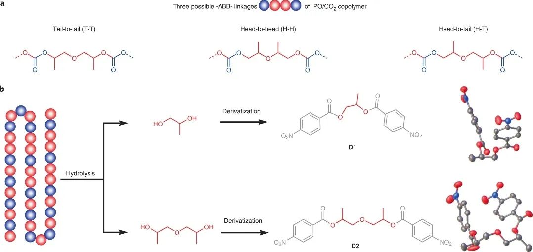浙大伍廣朋團(tuán)隊Nature Synthesis：CO2和環(huán)氧丙烷精準(zhǔn)共聚！