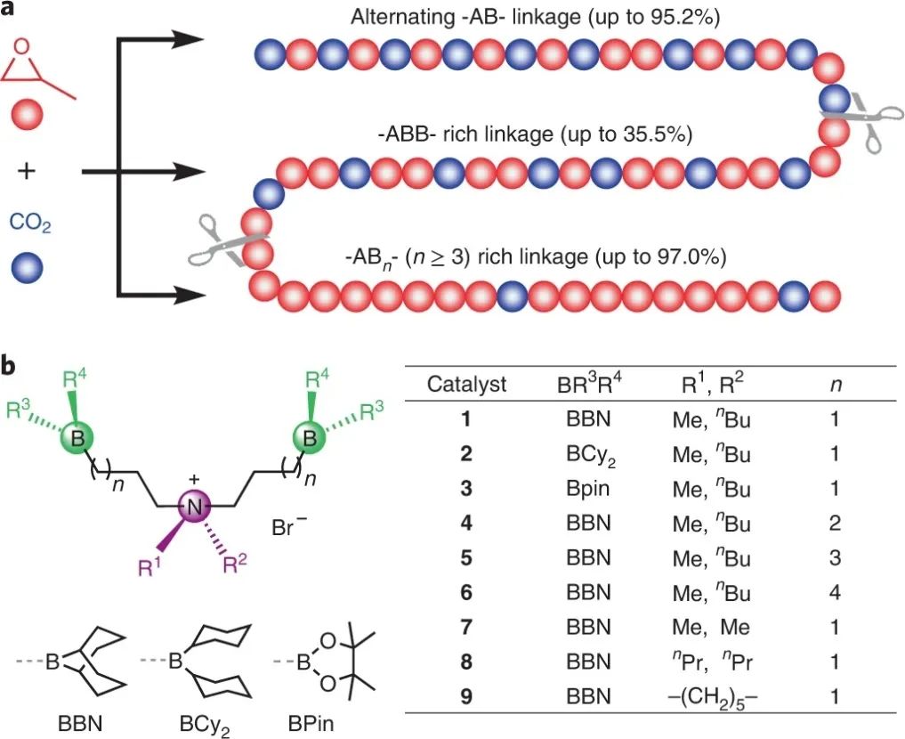 浙大伍廣朋團(tuán)隊Nature Synthesis：CO2和環(huán)氧丙烷精準(zhǔn)共聚！