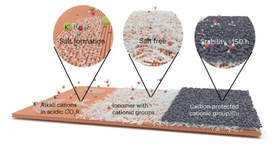 院士聯(lián)合出擊！多倫多大學(xué)/奧克蘭大學(xué)最新Nature Catalysis！