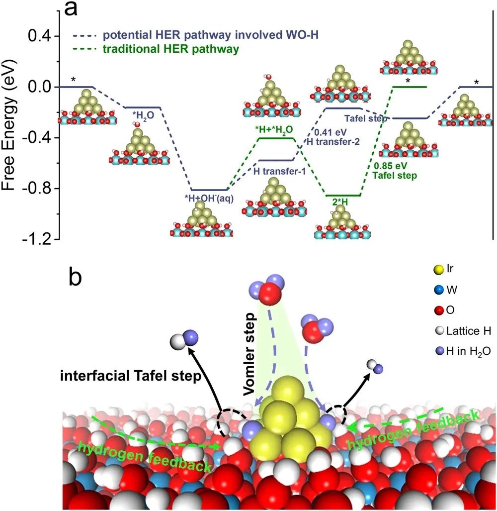 催化頂刊集錦：Nature子刊、Angew.、AFM、AM、Nano Energy、ACS Energy Lett.等！