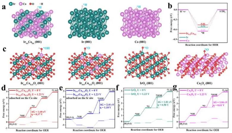 催化頂刊集錦：Angew.、EES、Chem、JACS、ACS Catal.、AFM、ACS Nano
