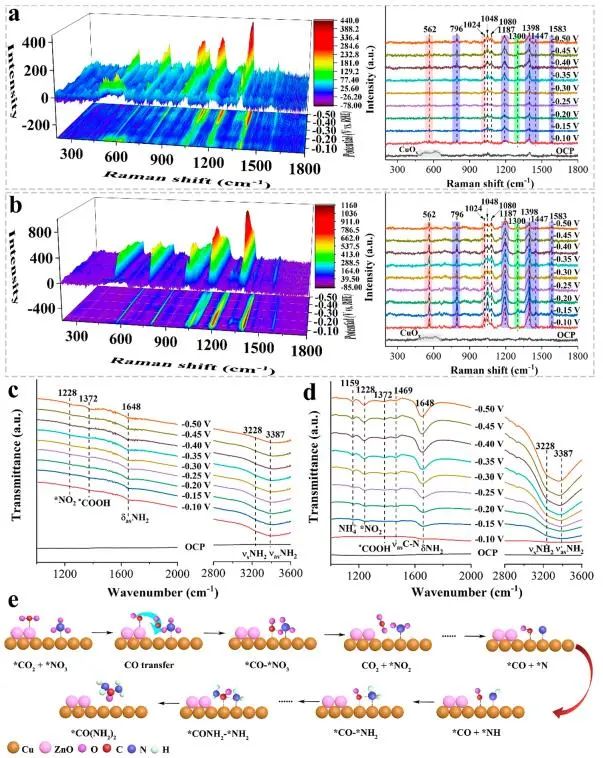 催化頂刊集錦：JACS、Nature子刊、Angew.、AFM、Adv. Sci.、ACS Catal.等成果