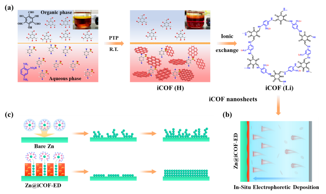 天津科技大學(xué)Nano Energy：原位電泳沉積構(gòu)建去溶劑化iCOF人工SEI層穩(wěn)定鋅金屬陽極