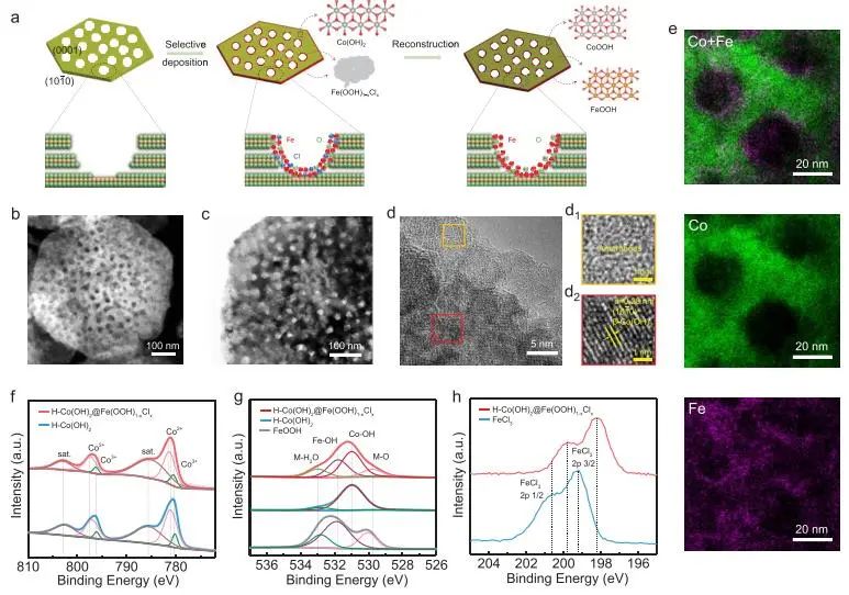催化頂刊集錦：JACS、Nature子刊、Angew.、AFM、Adv. Sci.、ACS Catal.等成果