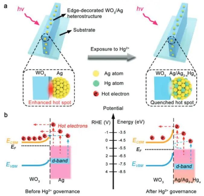 催化頂刊集錦：JACS、Nature子刊、Angew.、AFM、Adv. Sci.、ACS Catal.等成果