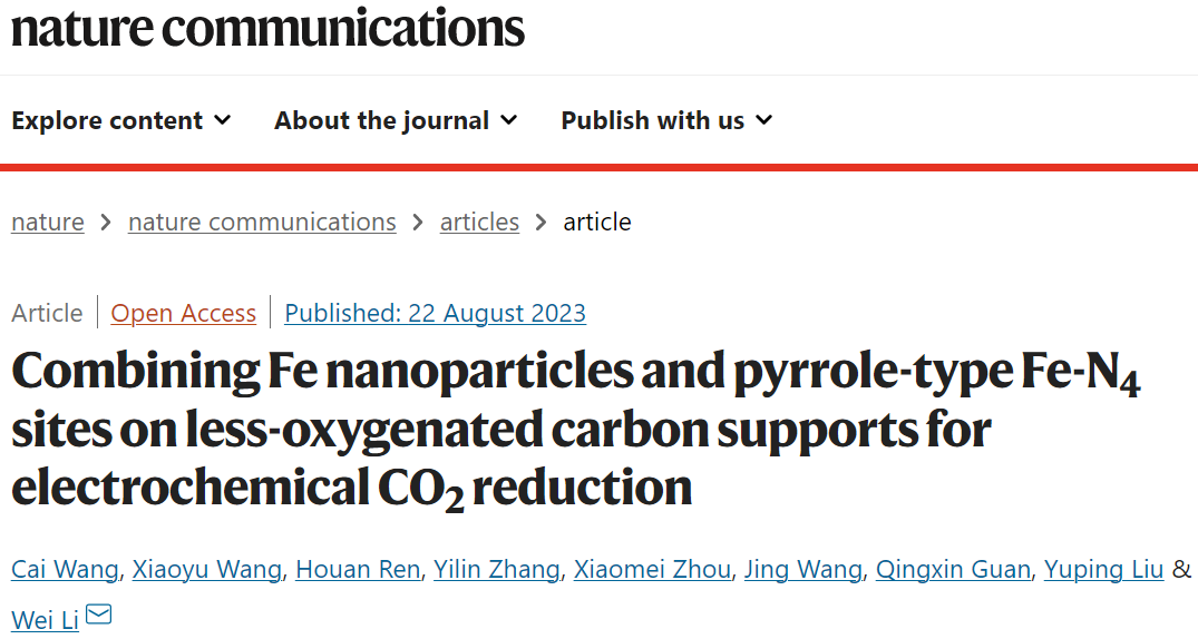 南開大學(xué)李偉教授Nature子刊：Fe-poN-C/Fe助力電化學(xué)CO2還原