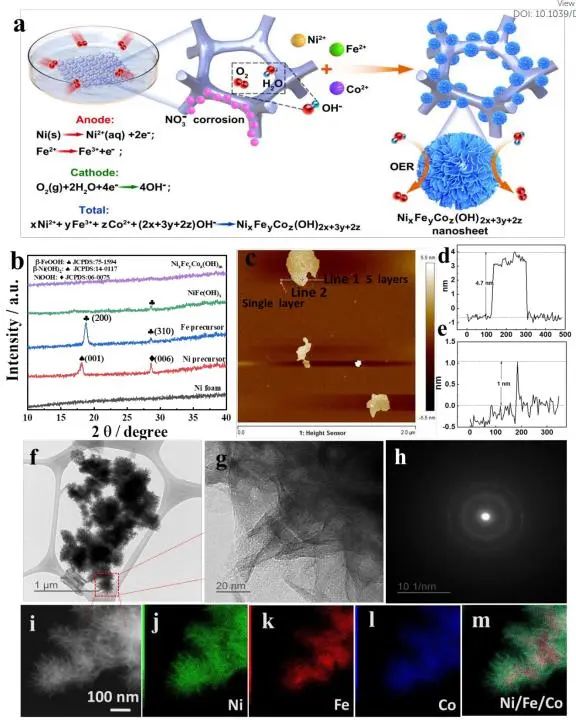 催化頂刊集錦：Nature子刊、Angew.、EES、AFM、ACS Nano等成果