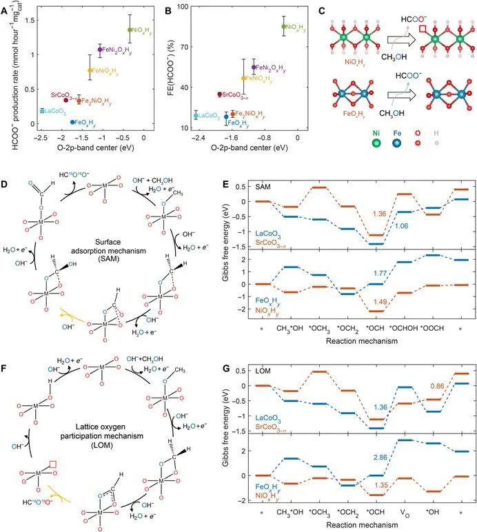 徐梽川教授，最新Science子刊！