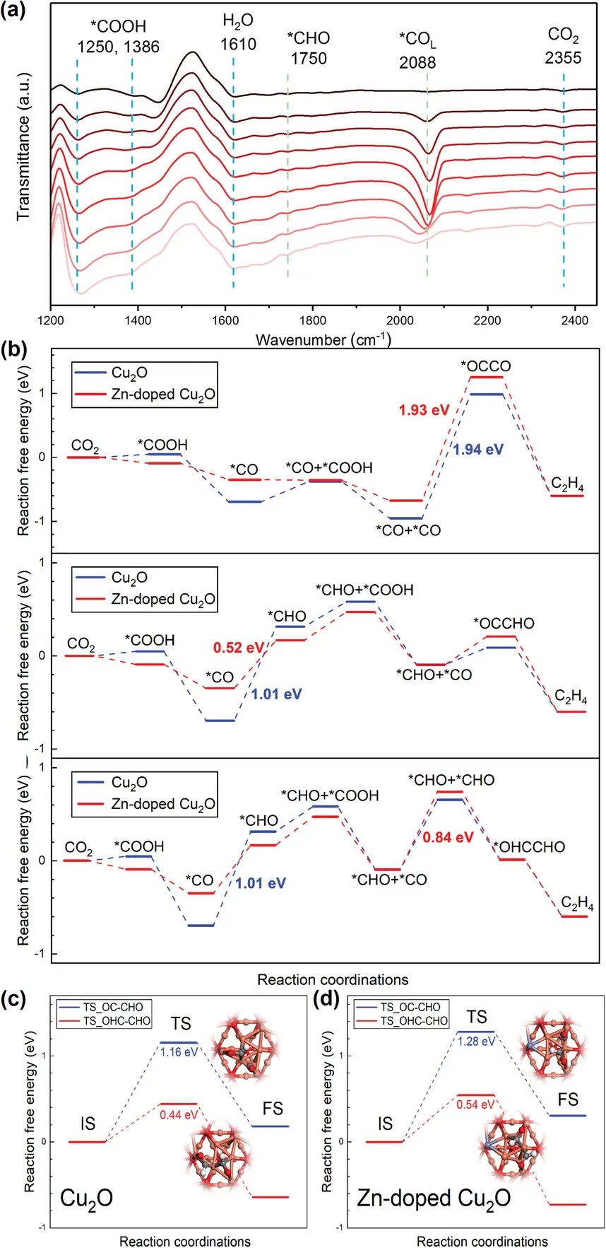 催化頂刊集錦：Angew.、AFM、Adv. Sci.、ACS Energy Lett.、ACS Catal.、CEJ等！
