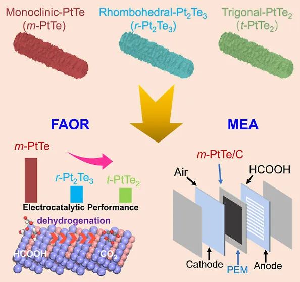 JACS：最高超35倍！m-PtTe NT助力甲酸氧化反應(yīng)