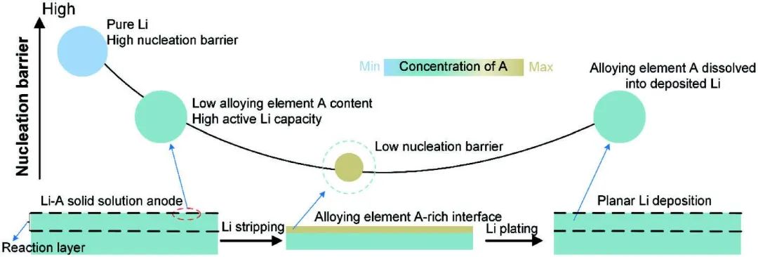華科孫永明AFM：負(fù)極表面合金元素的動(dòng)態(tài)富集實(shí)現(xiàn)穩(wěn)定循環(huán)的鋰金屬電池