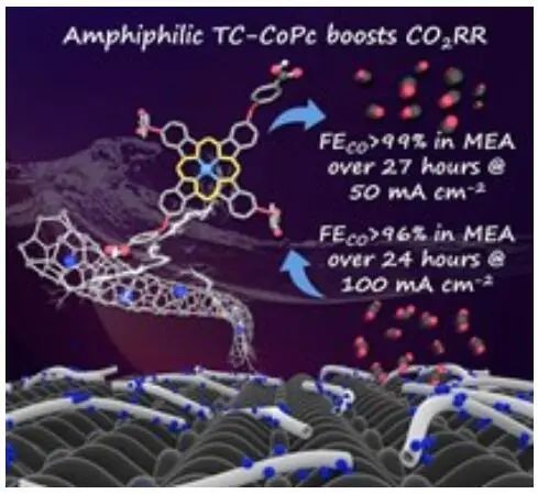吳驪珠院士最新AM：FE近100%，四羧基苯基取代鈷酞菁助力CO2RR！