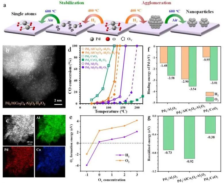催化頂刊集錦：JACS、Nature子刊、Angew.、AFM、Adv. Sci.、ACS Catal.等成果