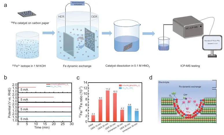 催化頂刊集錦：JACS、Nature子刊、Angew.、AFM、Adv. Sci.、ACS Catal.等成果