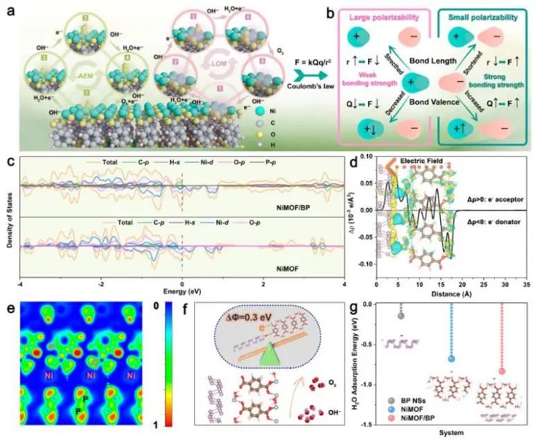 催化頂刊集錦：JACS、Nature子刊、Chem、AFM、ACS Catalysis、ACS Nano等成果