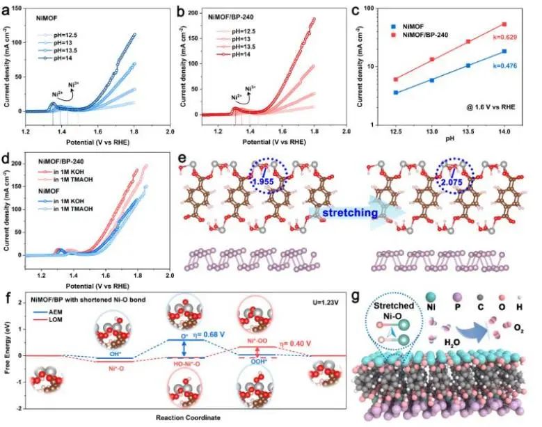 催化頂刊集錦：JACS、Nature子刊、Chem、AFM、ACS Catalysis、ACS Nano等成果