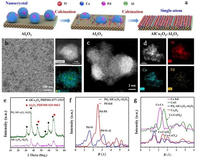 催化頂刊集錦：JACS、Nature子刊、Angew.、AFM、Adv. Sci.、ACS Catal.等成果